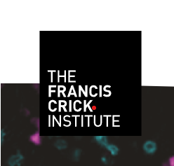 Crick Cancer Research Symposium