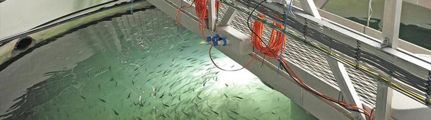 Delivering water treatment systems for offshore aquaculture and land-based facilities